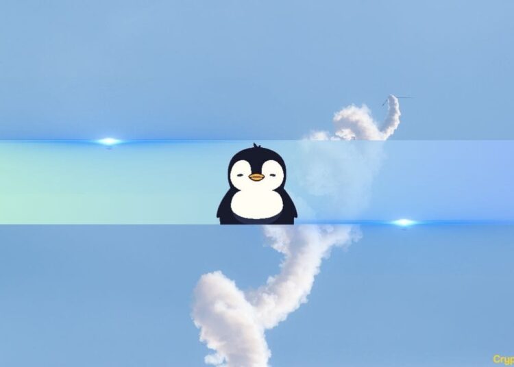 PENGU Overtakes BONK, Becomes Top Meme Coin on Solana at $2.6B Valuation