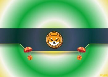 Shiba Inu-Related Project Introduces a Special Airdrop: Details