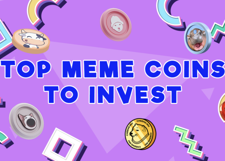5 Best Meme Coins to Join This Month: Why BTFD Coin Presale Is the Talk of the Crypto Town