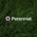 Perennial Unveils a Novel Intent Layer for Perpetuals