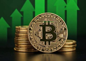 Binance CEO Urges Crypto Fans to Move Beyond Hodling and Flipping Tokens