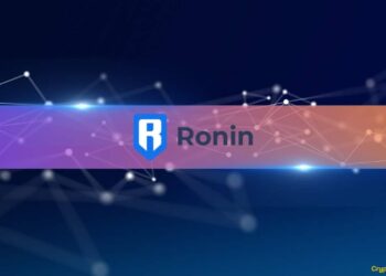 Ronin’s DeFi TVL Grows 149% YoY, Boosted by RON Token’s 30% Price Rise