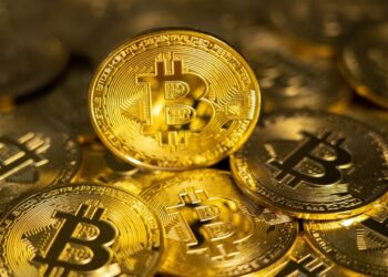 El Salvador Reinforces Bitcoin Allegiance: Purchases BTC in Defiance of IMF Agreement
