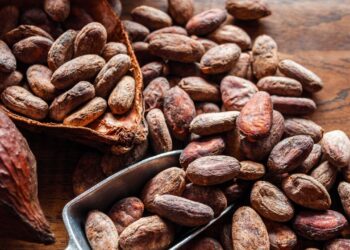 Roasted Bitcoin? Cocoa Rises as the Best Investment of 2024