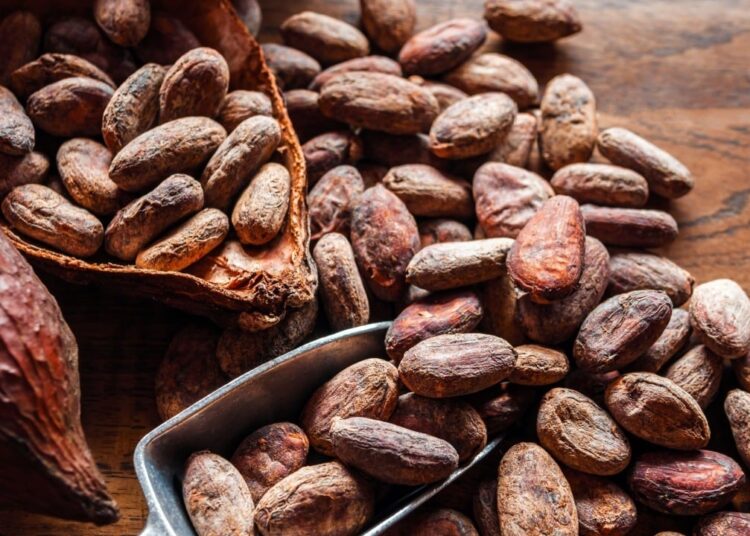 Roasted Bitcoin? Cocoa Rises as the Best Investment of 2024
