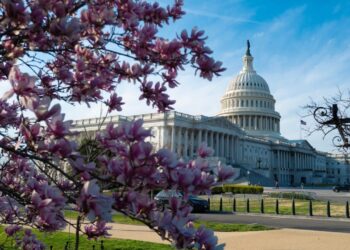 Ripple’s Legal Chief Urges Congress to Regulate Crypto Practices, Not Technology
