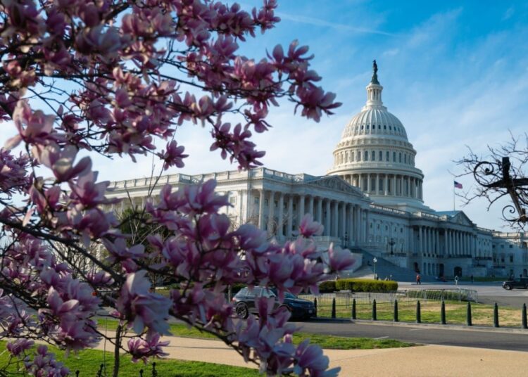 Ripple’s Legal Chief Urges Congress to Regulate Crypto Practices, Not Technology