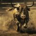 Crypto’s in Multi-Year Bull Market, and the Fed Can’t Stop It, Expert Says
