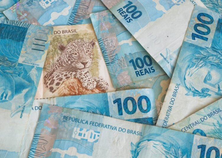 Brazilian Congresswoman Sounds Alarm on Drex CBDC Risks, Rejects Cash Elimination Bill