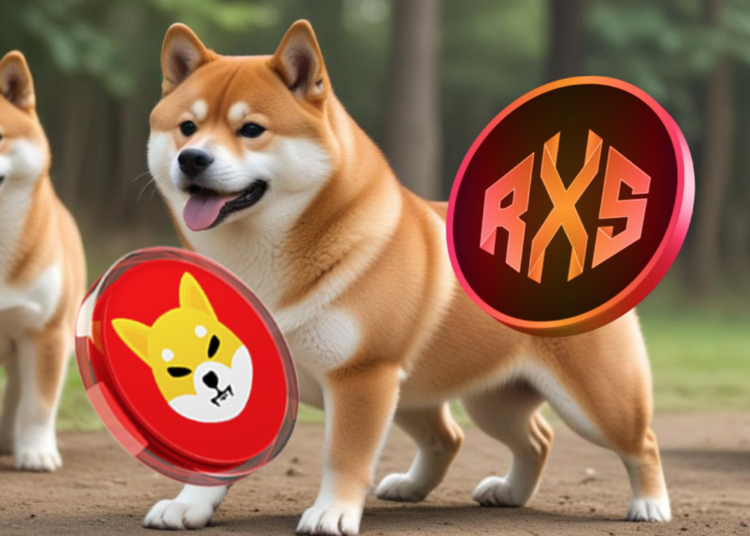 Shiba Inu Taking Too Long to Rally? These 2 SHIB Rivals in Bull Run Mode Will Flip $250 into $5000 in Just 6 Weeks