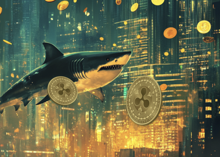 ADA and XRP Backers Bet Big on Remittix: The Future of Global Crypto Transactions