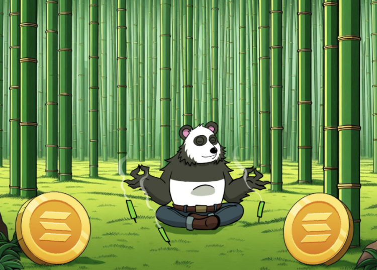 Trader Who Predicted PEPE Coins and FLOKI's ATH, Is Now Bullish On Panshibi ($SHIBI)