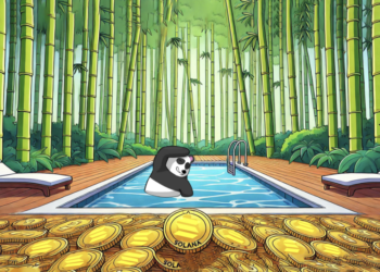 Why Is Panshibi Predicted to Become One Of The Best Investments In 2025?
