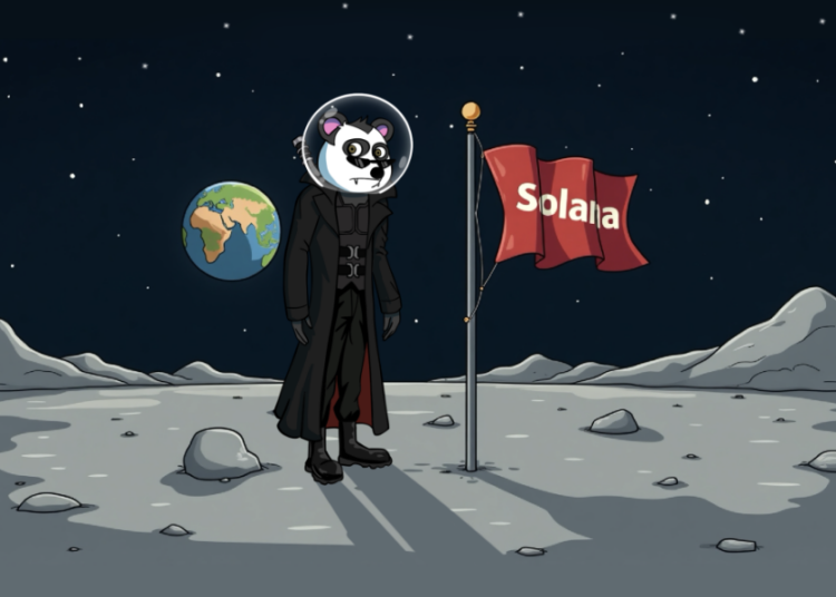Why The Solana Price Will Hit $500 Next Month If This Happens! What Is The Latest Panshibi News?