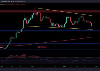 ADA’s Path Forward After 8% Daily Correction