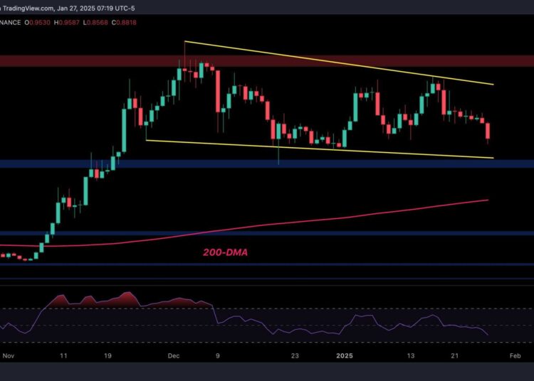 ADA’s Path Forward After 8% Daily Correction