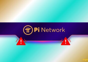 Major Pi Network Warning Concerning all Users: Details