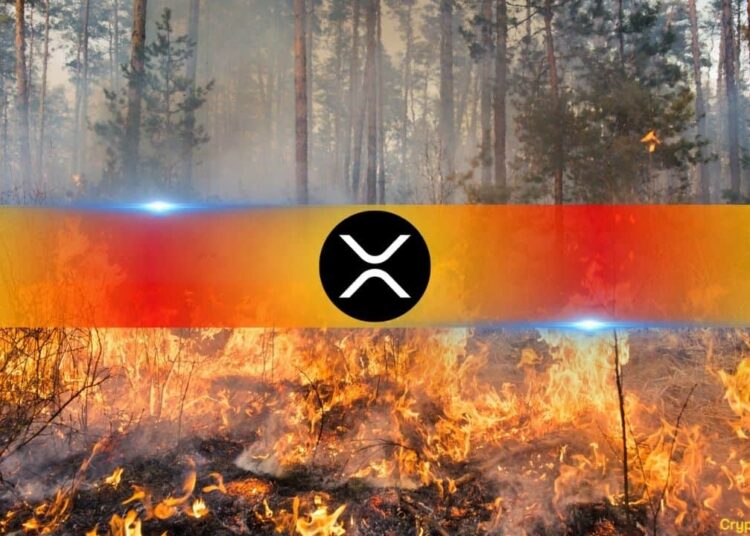Ripple Donates $100K in XRP for California Wildfire Relief Efforts