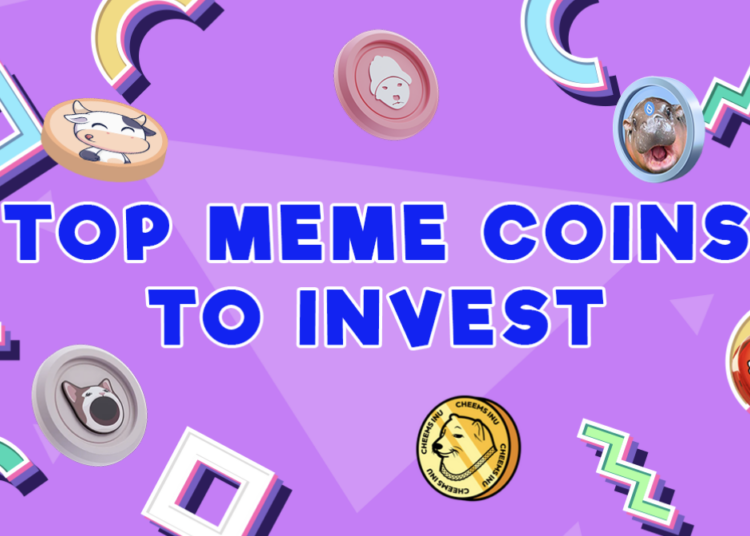 5 Top Crypto Picks | Best Meme Coin Presales to Buy for 2025: Grab the Dip and Watch Your Wallet Grow!
