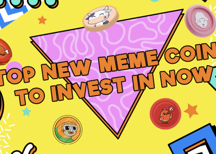 5 Hot Crypto Picks to Watch Now: Snag the Best New Meme Coins to Invest in Now Before Prices Spike!