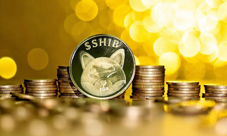 A Comprehensive Guide on How to Buy SHIB