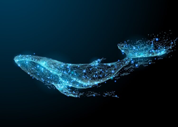 Are Whale Alerts Reliable? Study Questions Trading Signal Use