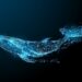 Are Whale Alerts Reliable? Study Questions Trading Signal Use