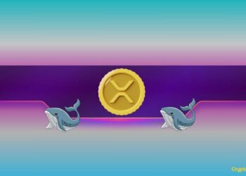 How Will Ripple (XRP) and Dogecoin (DOGE) Prices React as Whales Keep Buying?