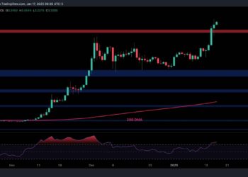 Warning Signs Emerge for XRP After 40% Weekly Surge