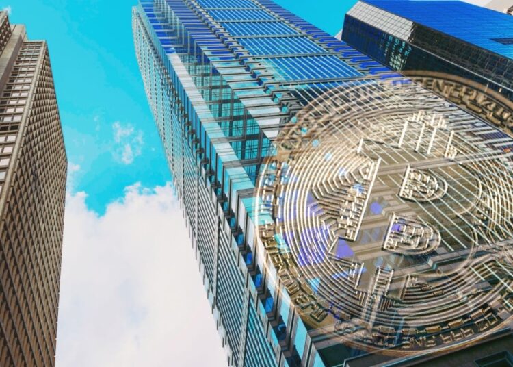 Bitcoin Outperformed Crypto Hedge Funds in 2024