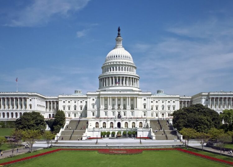 Expert: Trump May Honor Election Promises, but Progress Depends on Legislative and Regulatory Support