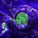 Blockchain Gaming Firm Partners With AI Agents Platform Virtuals Protocol To Enhance Gameplay and Interactions