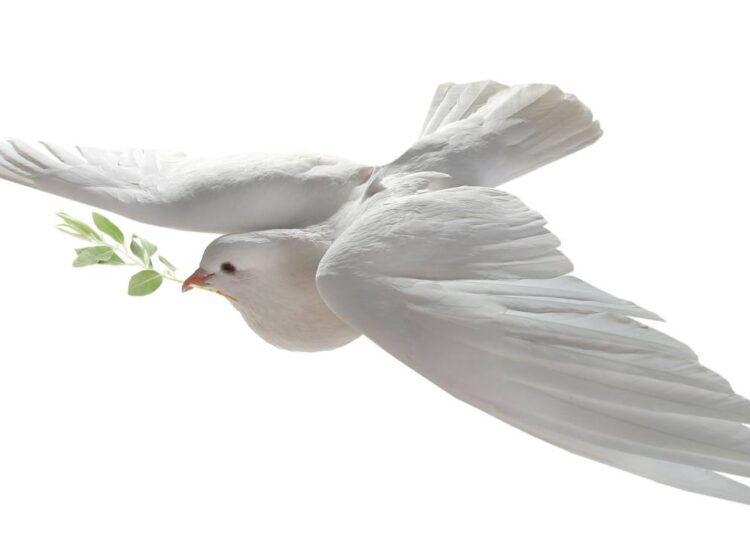 Trump’s Czar Proclaims the End of the ‘Reign of Terror’ Against Crypto