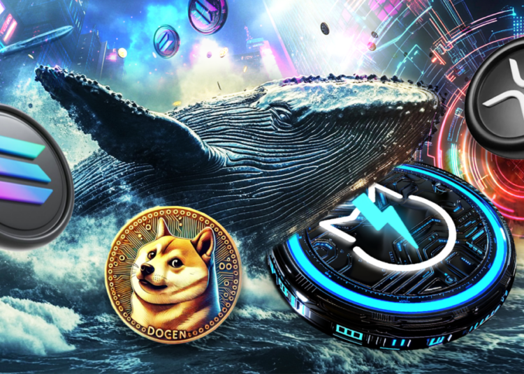 Popular Crypto Coins Whales are Adding to Their Portfolio: Solana, JetBolt, Dogecoin, and XRP
