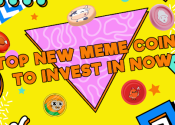 7 Promising Picks for Smart Investors: Don’t Miss the Best New Meme Coins to Invest in Now!