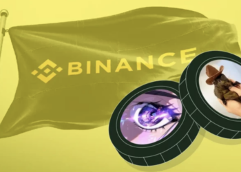 Binance Listing Of Panshibi Could Send This Viral Meme Coin 20x In February Alone, How Dogecoin Crypto Could Suffer