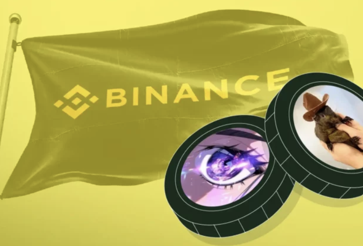 Binance Listing Of Panshibi Could Send This Viral Meme Coin 20x In February Alone, How Dogecoin Crypto Could Suffer