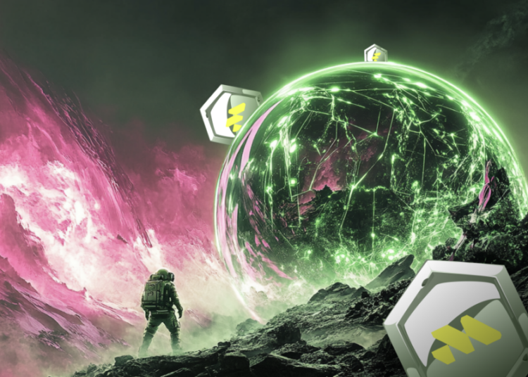 If You Put $1000 In Dogecoin 5 Years Ago, What Would It Be Worth Today? Why Is This New Platform Likely To Mimic This Rise?