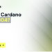 "50% Drop In 2025 For Cardano And Solana" Claims Top Crypto Analyst As Remittix Could 50x This Year