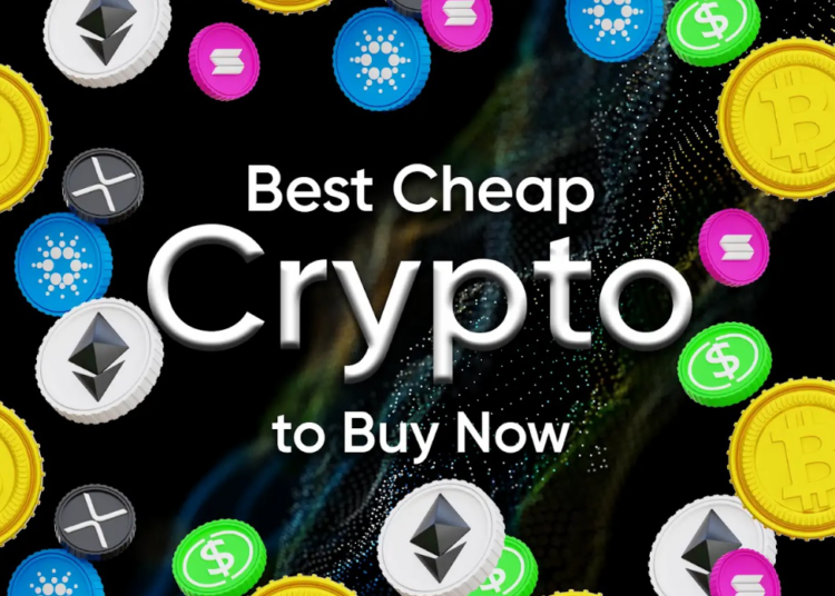 Best Cheap Crypto to Buy Now Before Whales Accumulate – This One Stands Out