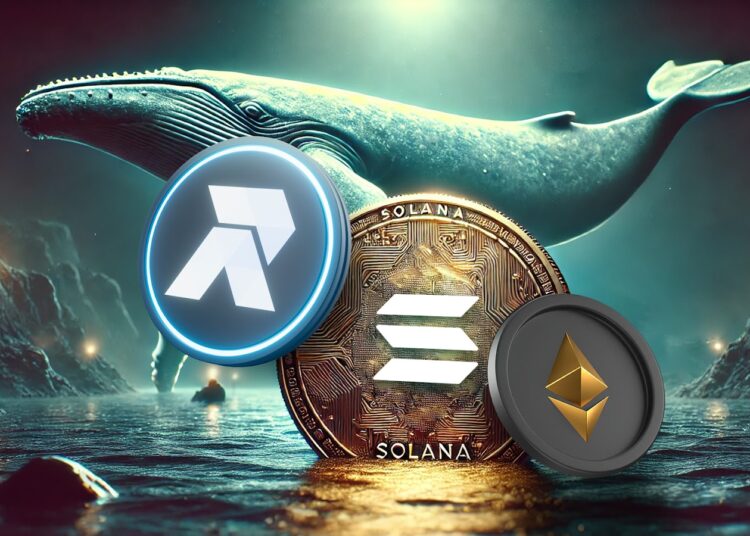 Solana and Ethereum Whales Are Pouring Millions Into This Low Cap Crypto Before It Blows Up