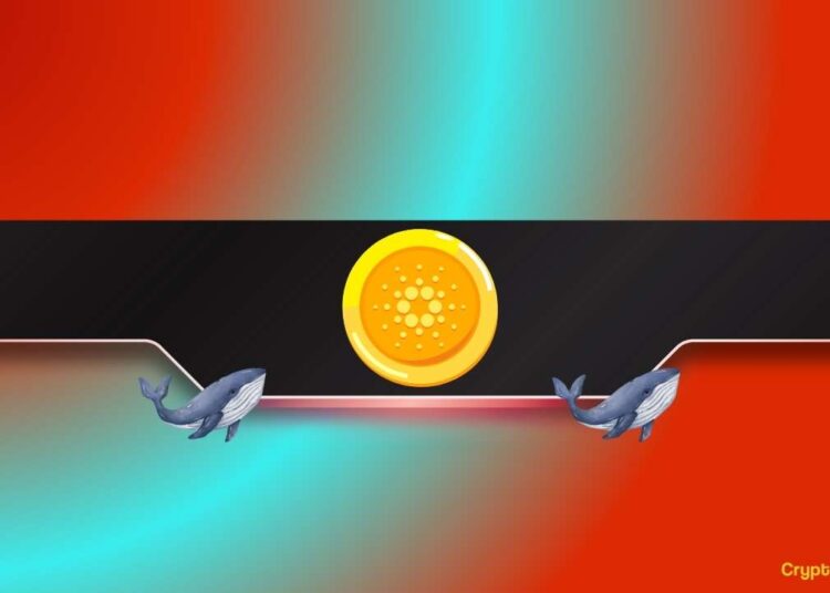 Millions of ADA Sold by Cardano Whales During Market Crash – Will the Decline Continue?