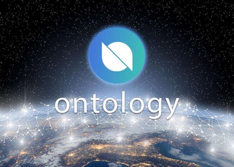 Complete Guide to Managing ONT Tokens in Your Wallet