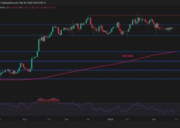 Will Bitcoin Drop Below $80K Before Reaching a New ATH? (BTC Price Analysis)