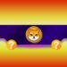 Shiba Inu (SHIB) Might Plunge by Another 30% Before Finding Support (Analyst)