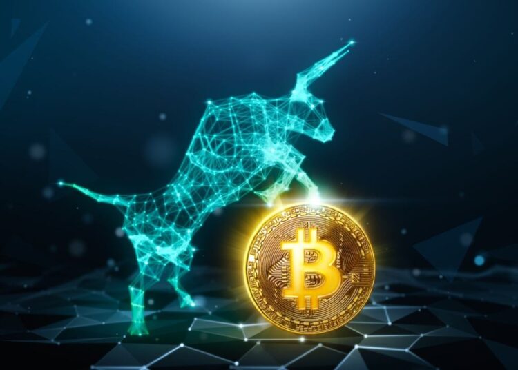 Legendary Cypherpunk Claims Bitcoin Is in the ‘Early Stages’ of a Bull Market