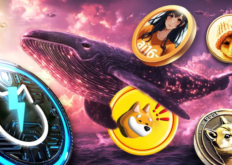Best Meme Coins Crypto Whales Are Bullish On: Bonk, WIF, ai16z, Dogecoin and JetBolt