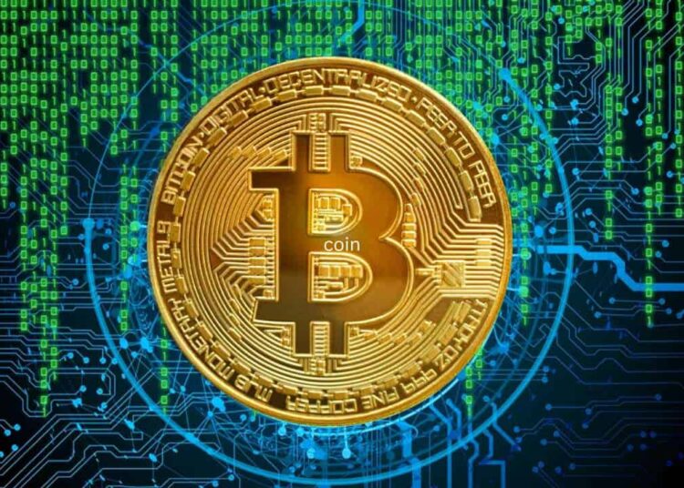 Here’s How the Crypto Market Performed in January, According to Binance Research