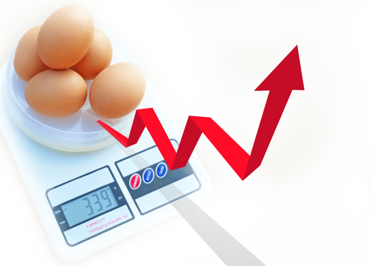US Inflation ‘Nightmare’ Remains Sticky as January Price Hikes Unsettle Markets