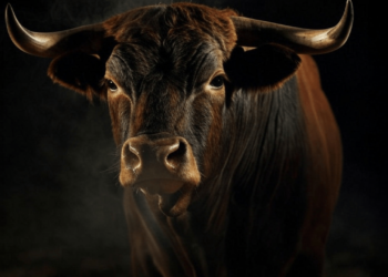 Bitcoin Price Analysis: Bulls Struggle as $94K Support Faces Ultimate Test